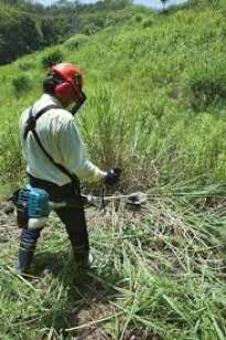 Roçadora 34.0CC 2T EM3400U - ferramentas makita